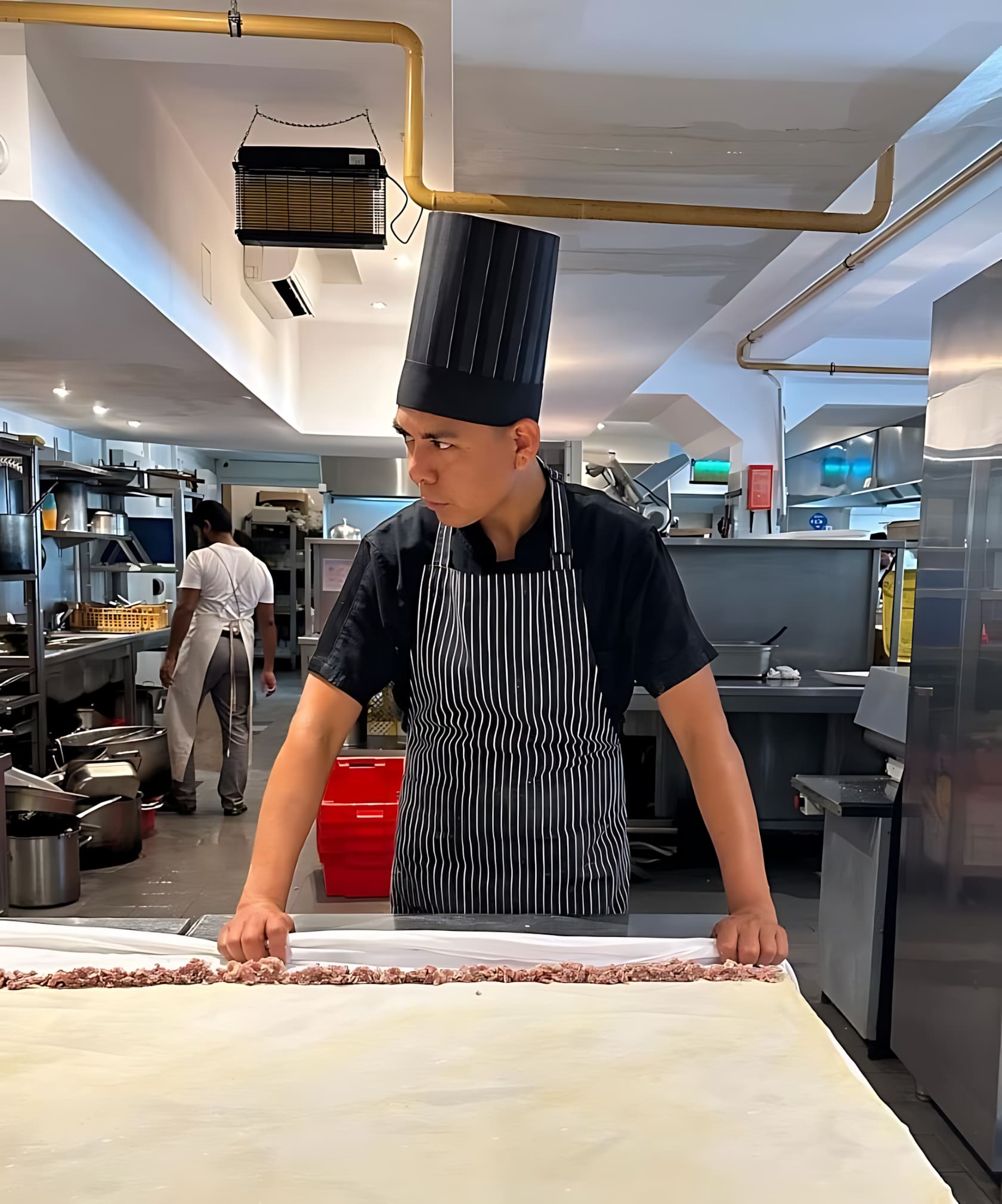 Chef standing in a professional kitchen